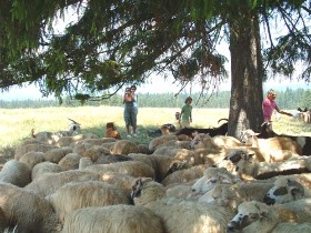 esztena látogatás, hargita, turizmus
